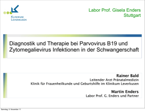 Diagnostik und Therapie bei Parvovirus B19 und Zytomegalievirus