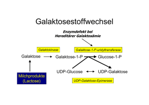 Glykolyse - Hexokinase
