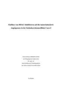 Einfluss von HDAC-Inhibitoren auf die tumorinduzierte Angiogenese