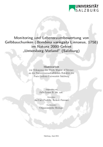 Gelbbauchunken (Bombina variegata Linnaeus, 1758)