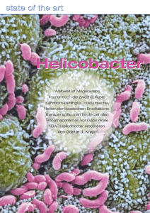 Helicobacter pylori - Österreichische Ärztezeitung