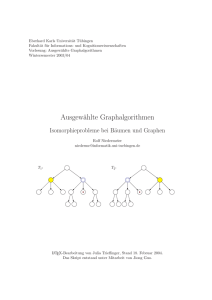 Ausgewählte Graphalgorithmen