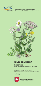 Bestimmungshilfe "Blumenwiesen - Förderung von