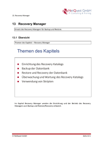 13 Recovery Manager