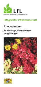 Die Publikation als PDF 658 KB - Bayerische Landesanstalt für