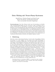 Data Mining mit Neuro-Fuzzy-Systemen