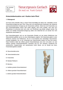 pdf-DATEI - Tierarztpraxis Gerlach