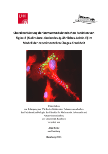 Charakterisierung der immunmodulatorischen Funktion von Siglec-E