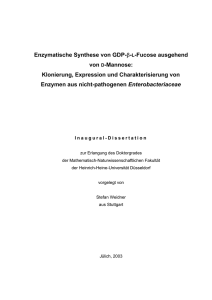 Escherichia coli - Heinrich-Heine