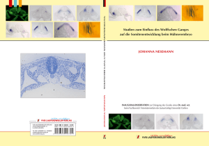 Dokument 1 - Zur Giessener Elektronischen Bibliothek