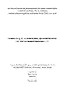 Dokument in Final Dissertation - Publikationsserver UB Marburg