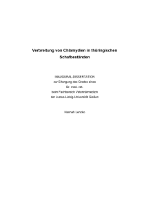 Verbreitung von Chlamydien in thüringischen Schafbeständen