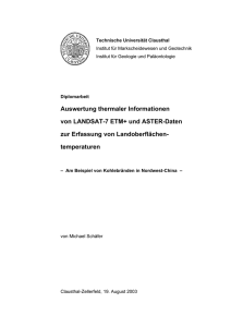 Diplomarbeit im PDF-Format