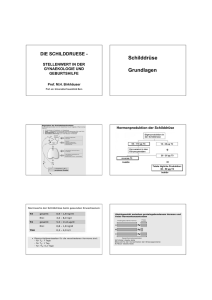 Schilddrüse Grundlagen