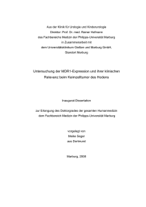 Untersuchung der MDR1-Expression und ihrer klinischen Relevanz