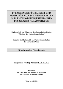 Diplomarbeit