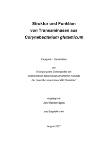 Struktur und Funktion von Transaminasen - Heinrich