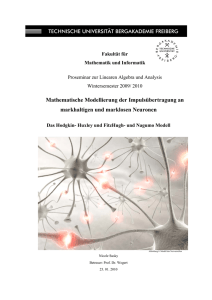 Skript  - Fakult&auml;t f&uuml;r Mathematik und Informatik