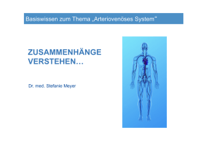 Kompetenz-Update Arteriovenöses System