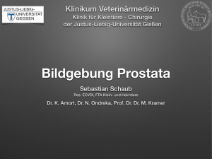 Bildgebung Prostata - Justus-Liebig