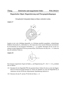 ¨Ubung Elektrische und magnetische Felder WiSe 2012/13