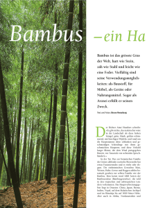 42-45 Bambus