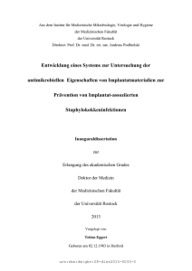 Entwicklung eines Systems zur Untersuchung der