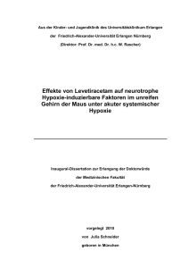 Effekte von Levetiracetam auf neurotrophe Hypoxie