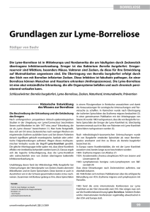 Grundlagen zur lyme-Borreliose - UMG