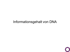 Information Content of DNA