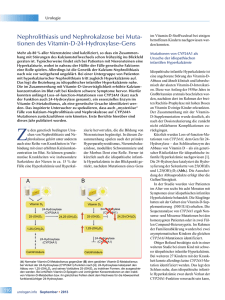 tionen des Vitamin-D-24-Hydroxylase-Gens - urologen