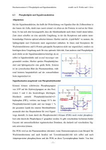- 1 - 6.3 Phospholipide und Signaltransduktion Allgemeines Bei der