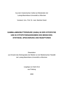 Gamma-Aminobuttersäure (GABA) in der Hypophyse und in