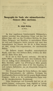 Monographie des Nandu oder südamerikanischen Strausses