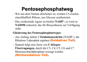 Pentosephosphatweg