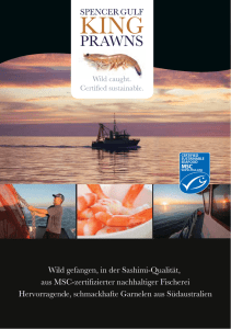 Brochüre MSC Spencer Gulf King Shrimps