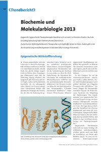 Biochemie und Molekularbiologie 2013