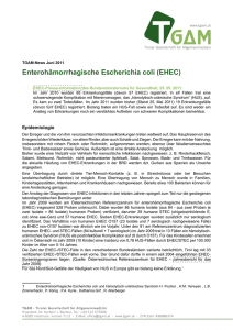 Enterohämorrhagische Escherichia coli (EHEC)