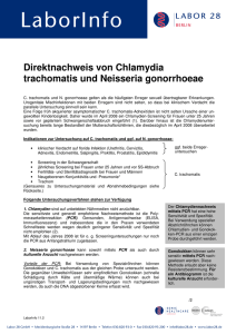 Chlamydia trachomatis + Neisseria gonorrhoeae