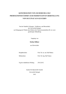 KONSTRUKTION VON ESCHERICHIA COLI