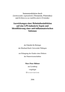 Dissertation Marc Hübner