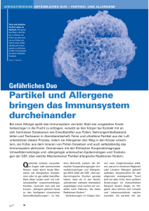 Gefährliches Duo Partikel und Allergene bringen das Immunsystem