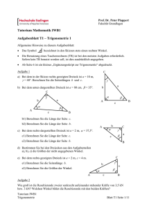 Tutorium Mathematik IWB1 Aufgabenblatt T1 – Trigonometrie 1