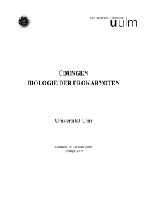 übungen biologie der prokaryoten