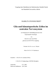 Glia und hämatopoetische Zellen im zentralen Nervensystem