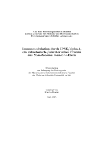 20160211_Dissertation_KatrinKnuhr.p df - macau