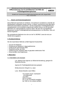 AM 004 - Bund/Länder - Arbeitsgemeinschaft Gentechnik
