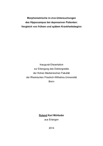 pdf-Dokument - Universität Bonn