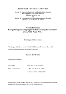 Publishers Version - PuSH - Publikationsserver des Helmholtz