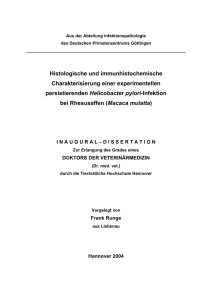 Histologische und immunhistochemische Charakterisierung einer